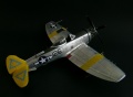 Academy 1/48 P-47N Thunderbolt Expected Goose