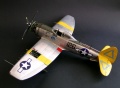 Academy 1/48 P-47N Thunderbolt Expected Goose