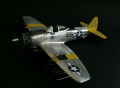 Academy 1/48 P-47N Thunderbolt Expected Goose