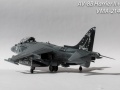 Hasegawa 1/48 Harrier -  