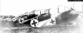 Eduard 1/48 Fokker Dr.I -   