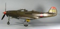 Hasegawa 1/48 Bell P-39N Aircobra -  