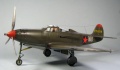 Hasegawa 1/48 Bell P-39N Aircobra -  