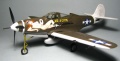 Hasegawa 1/48 Bell P-39N Aircobra -  