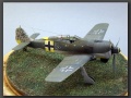 Eduard 1/48 Focke-Wulf Fw-190A-5, Walter Nowotny