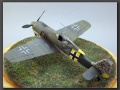 Eduard 1/48 Focke-Wulf Fw-190A-5, Walter Nowotny