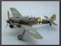 Eduard 1/48 Focke-Wulf Fw-190A-5, Walter Nowotny