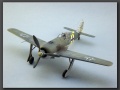 Eduard 1/48 Focke-Wulf Fw-190A-5, Walter Nowotny