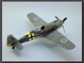 Eduard 1/48 Focke-Wulf Fw-190A-5, Walter Nowotny