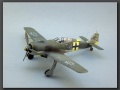 Eduard 1/48 Focke-Wulf Fw-190A-5, Walter Nowotny