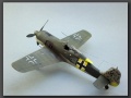 Eduard 1/48 Focke-Wulf Fw-190A-5, Walter Nowotny