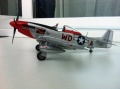 ICM 1/48 P-51D Mustang Ridge Runner III