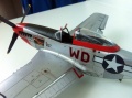 ICM 1/48 P-51D Mustang Ridge Runner III