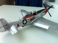 ICM 1/48 P-51D Mustang Ridge Runner III