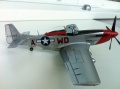 ICM 1/48 P-51D Mustang Ridge Runner III