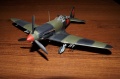 ICM 1/48 -3