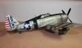 Trumpeter 1/32 P-47D Tunderbolt Razorback