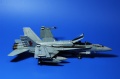 Fujimi 1/72  F/A-18C Hornet