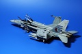 Fujimi 1/72  F/A-18C Hornet