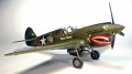 Hasegawa 1/48 -40 Kittyhawk -   