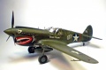 Hasegawa 1/48 -40 Kittyhawk -   