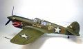 Hasegawa 1/48 -40 Kittyhawk -   