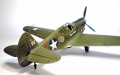 Hasegawa 1/48 -40 Kittyhawk -   