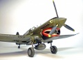 Hasegawa 1/48 -40 Kittyhawk -   