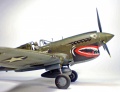 Hasegawa 1/48 -40 Kittyhawk -   