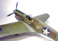 Hasegawa 1/48 -40 Kittyhawk -   