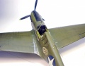 Hasegawa 1/48 -40 Kittyhawk -   