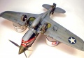 Hasegawa 1/48 -40 Kittyhawk -   