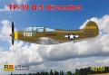  RS-models: 1/72 Hs-132, TP-39 Airacobra