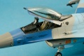 Tamiya 1/48 F-16C Block 42, 64th Aggressor Squadron