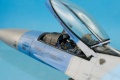 Tamiya 1/48 F-16C Block 42, 64th Aggressor Squadron