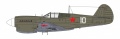  1/72 Authentic Decals P-40 In The Russian sky