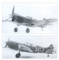  1/72 Authentic Decals P-40 In The Russian sky