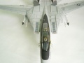 Italeri 1/48 F-14A Tomcat Jolly Rogers