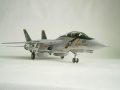 Italeri 1/48 F-14A Tomcat Jolly Rogers