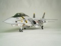 Italeri 1/48 F-14A Tomcat Jolly Rogers