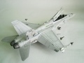 Hasegawa 1/48 F/A-18D Hornet VFA-106 Gladiators