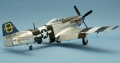 Tamiya 1/72 P-51D Mustang G-SIJJ -   -  