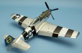 Tamiya 1/72 P-51D Mustang G-SIJJ -   -  