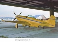 Tamiya 1/72 P-51D Mustang G-SIJJ -   -  