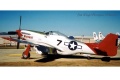 Tamiya 1/72 P-51D Mustang G-SIJJ -   -  
