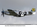 Tamiya 1/72 P-51D Mustang G-SIJJ -   -  