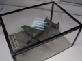 Revell 1/32 He-162