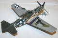 Tamiya 1/72 P-51D Mustang Da Quake