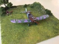 Roden 1/48 Junkers D.I late -   