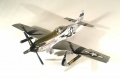 Hasegawa 1/48 P-51D Mustang